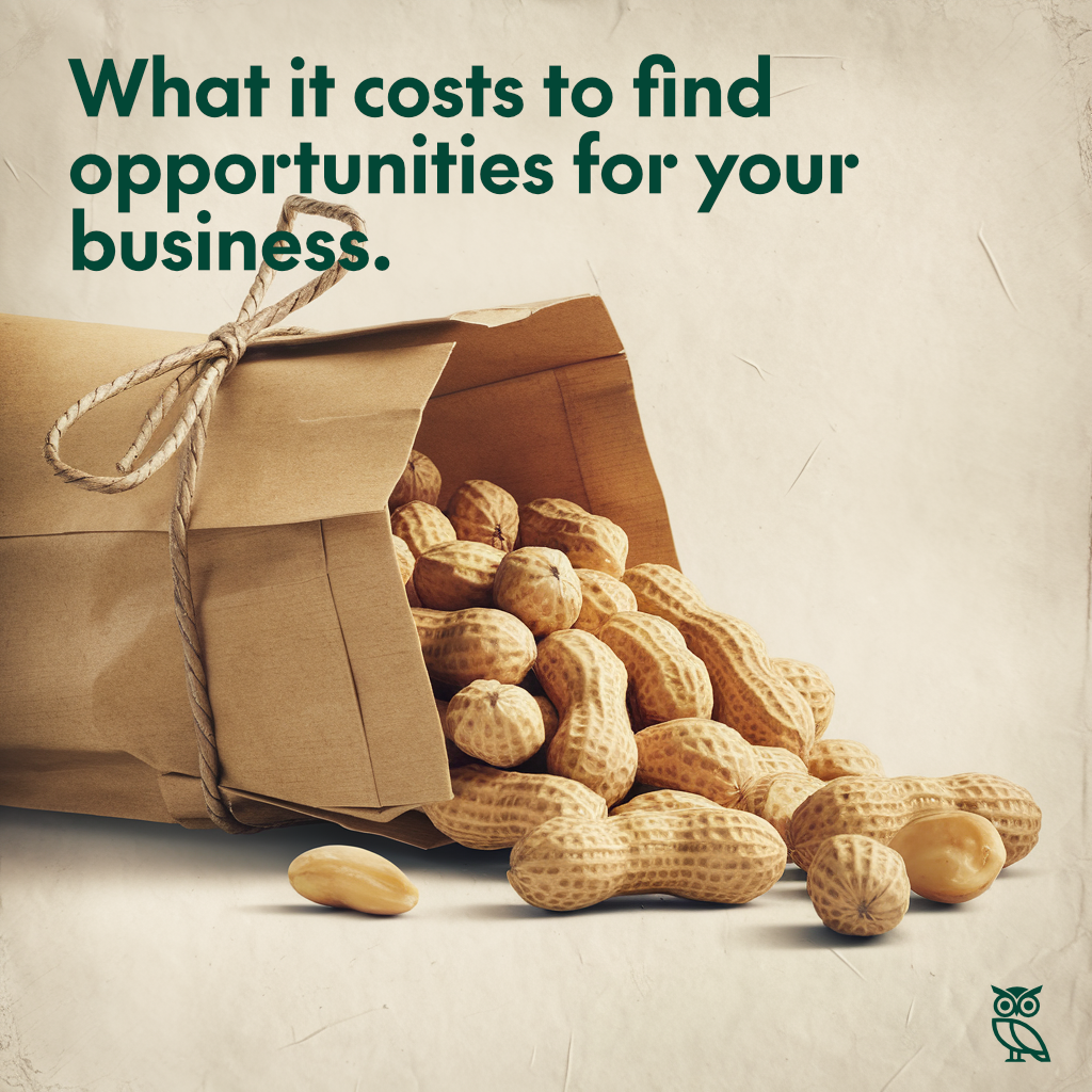Peanuts falling out of a paper bag with the strapline "what it costs to find opportunities for your business".